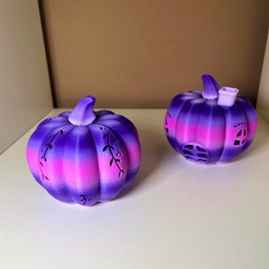Herbst-Kürbis Duo – 2er-Set Deko mit Leuchteffekt (Ranken & Haus)